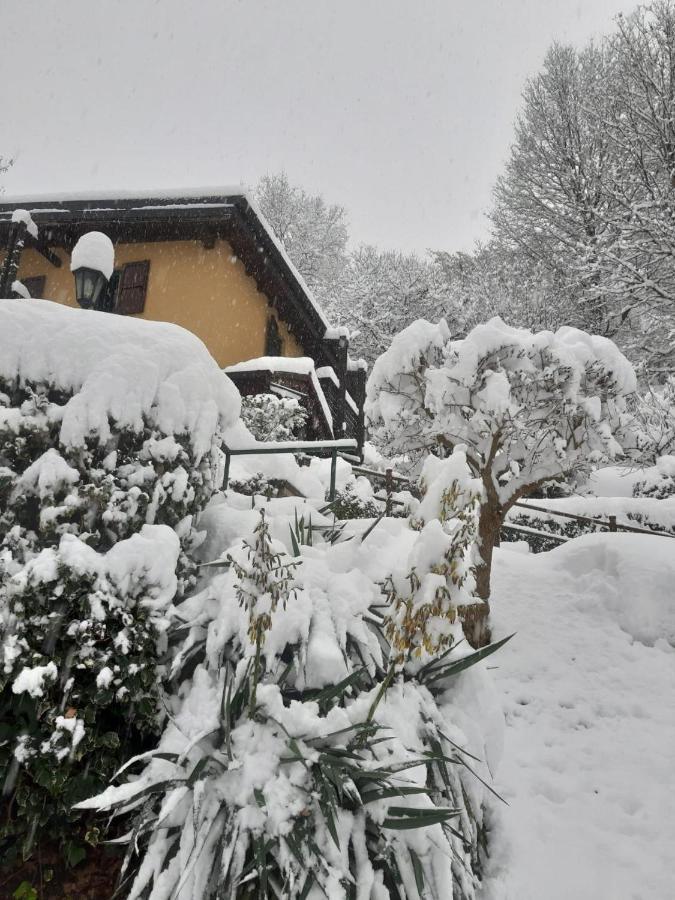 Medolago Casa Amici Del Bosco Bed & Breakfast エクステリア 写真