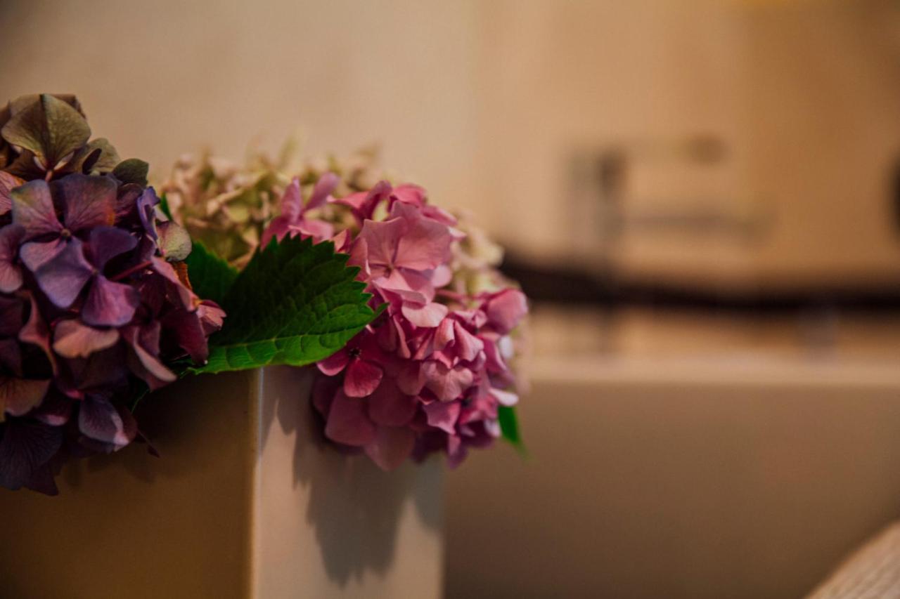 Medolago Casa Amici Del Bosco Bed & Breakfast エクステリア 写真