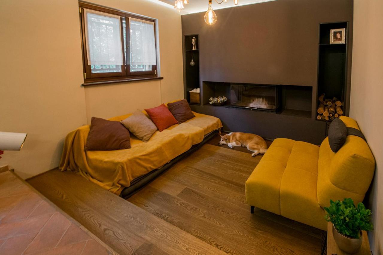 Medolago Casa Amici Del Bosco Bed & Breakfast エクステリア 写真